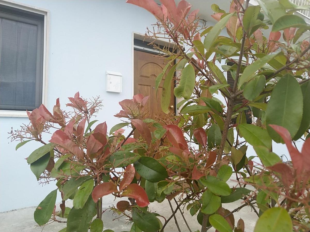 Rosa Dei Venti House Villa Campomarino  Eksteriør billede