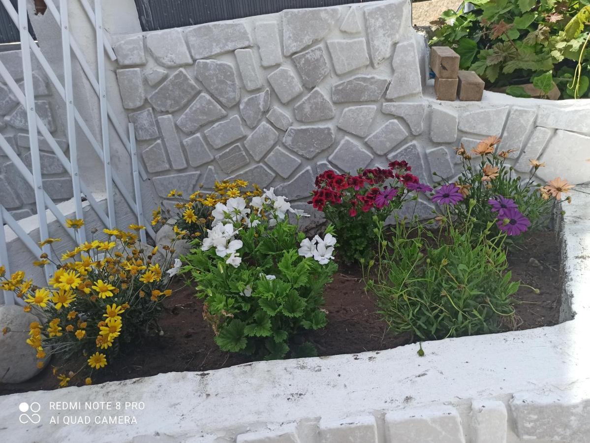 Rosa Dei Venti House Villa Campomarino  Eksteriør billede