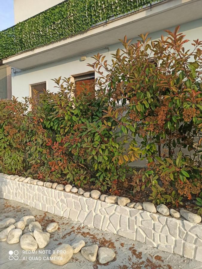 Rosa Dei Venti House Villa Campomarino  Eksteriør billede